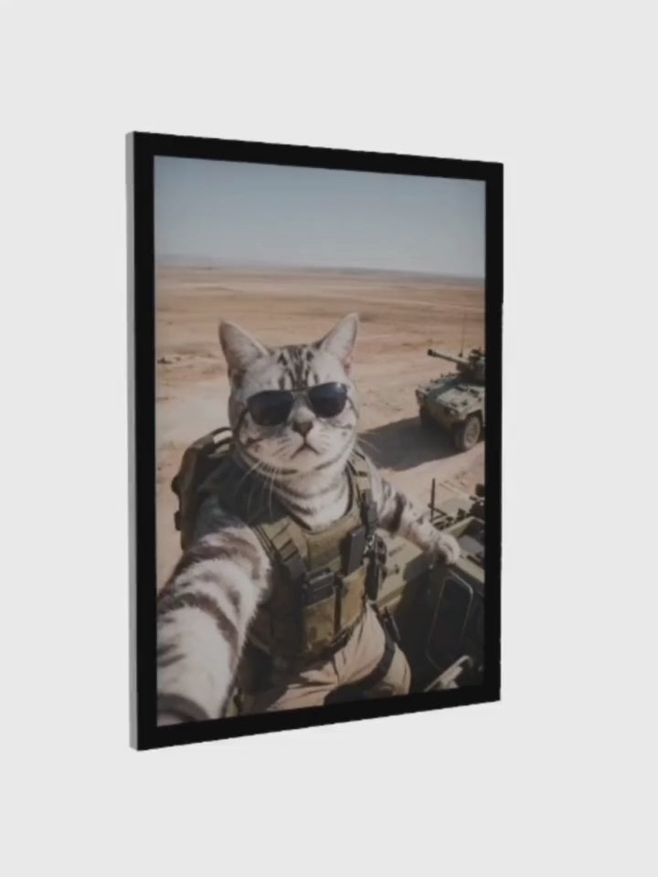 Load video: 